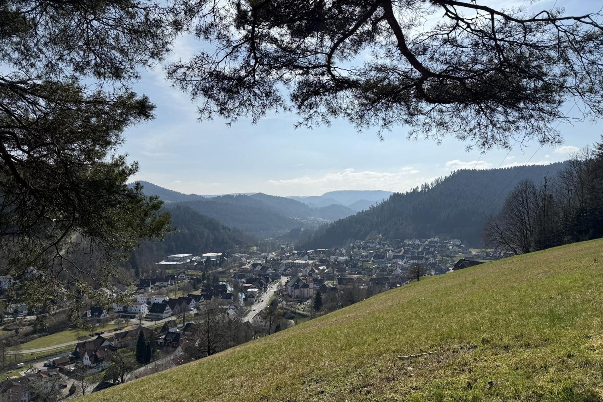 Schwarzwald Blockhaus - Sauna - Kamin - Mit Bettwaesche Und Handtuecher Schenkenzell Dış mekan fotoğraf