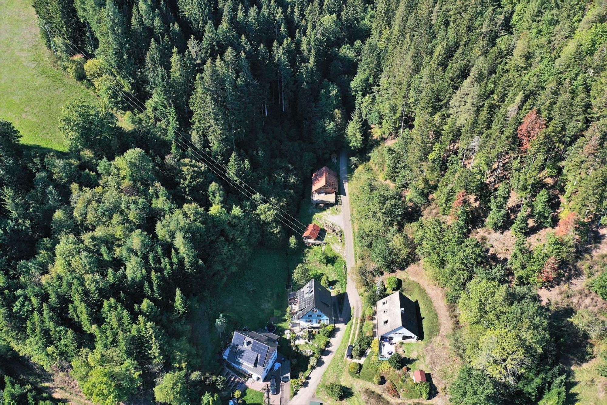 Schwarzwald Blockhaus - Sauna - Kamin - Mit Bettwaesche Und Handtuecher Schenkenzell Dış mekan fotoğraf